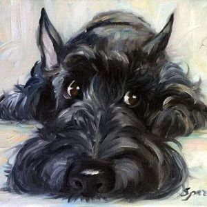 Meet your Posher, Fred